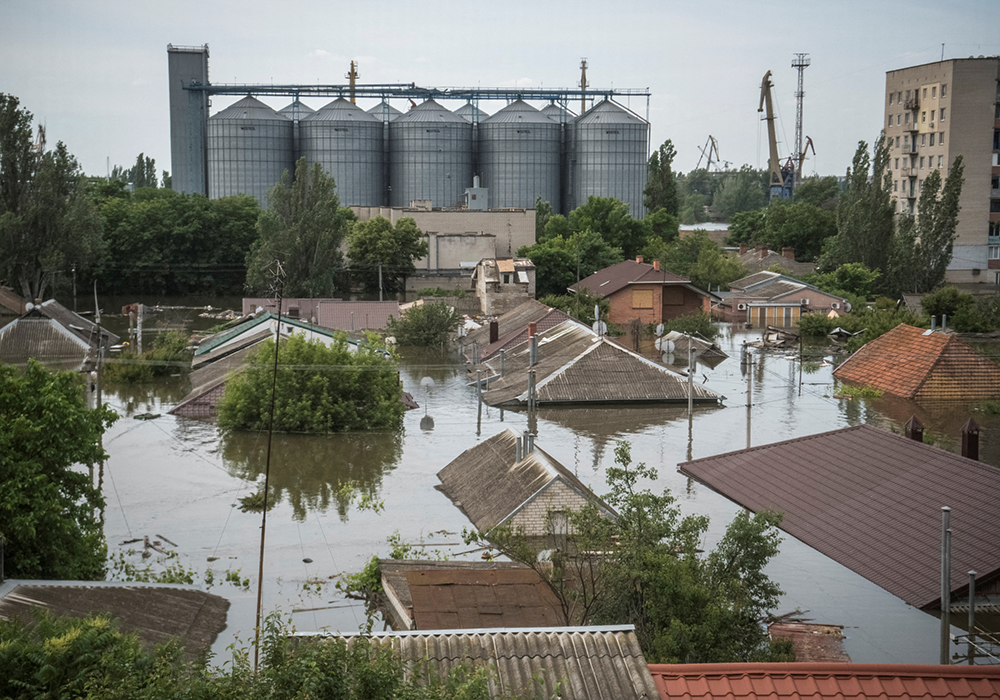 Floodwater is up to the roof of many houses, a large multi-silo grain handling facility is in the background.