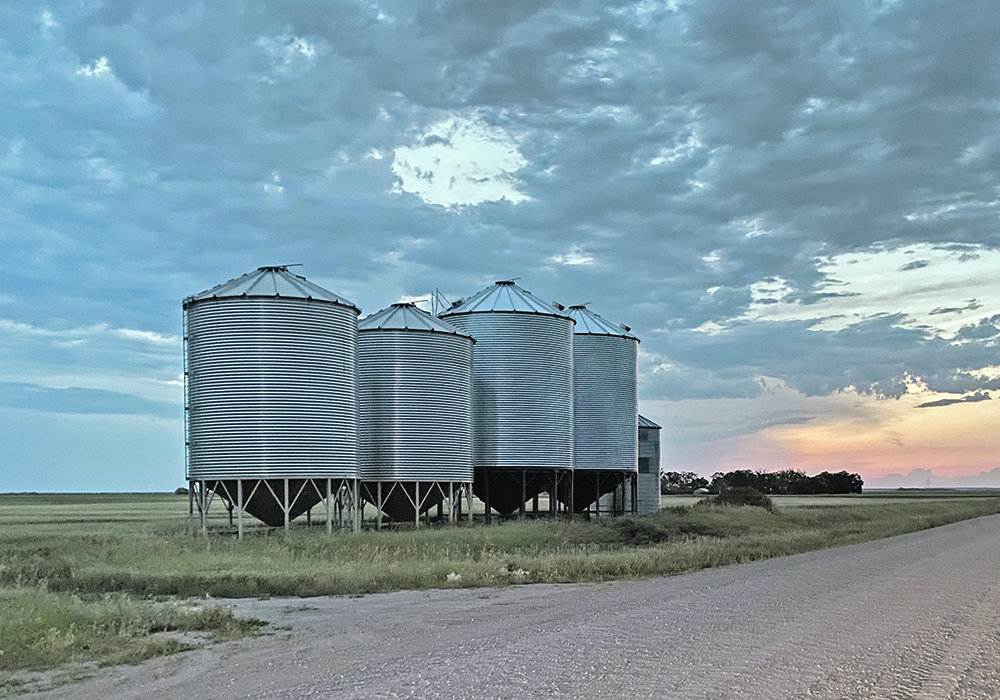 Five steel grain bins, four of them with hopper bottoms, sit alongside a gravel road.