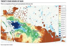 Dryness puts Alta. crops behind the eight ball