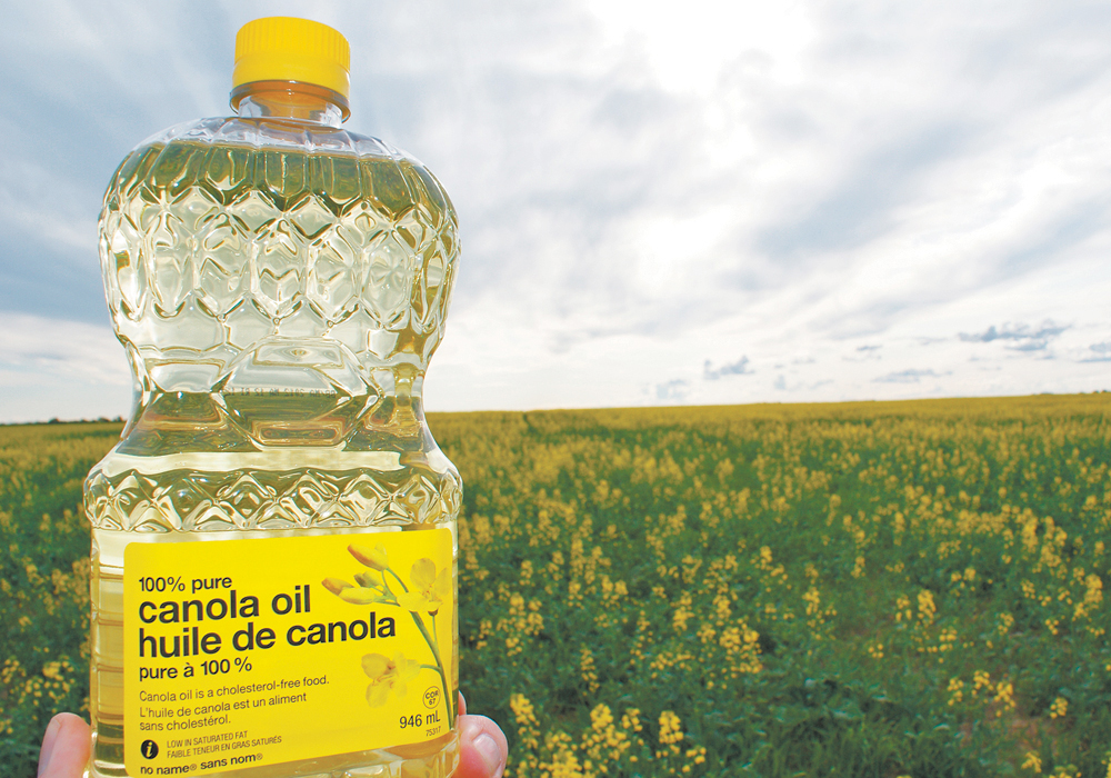 A had is holding up a bottle of No Name canola oil with a canola field just starting to bloom in the background.