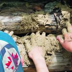 Two students chink a log house with clay, straw and dried horse manure.