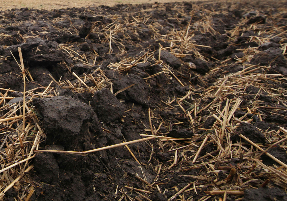 Freshly-turned topsoil.