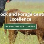 The LFCE is a research unit of the University of Saskatchewan located southeast of Saskatoon near Clavet. It includes commercial-scale cow-calf and feedlot facilities, fields and laboratories to allow research on topics related to the cattle industry. | Screencap via lfce.usask.ca