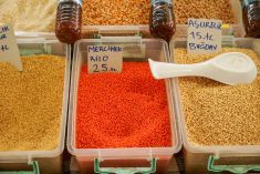 Turkey is Canada’s biggest bulk buyer of lentils, purchasing 431,5000 tonnes through the first nine months of the 2022-23 marketing campaign, or 40 percent of all the bulk lentils sold during that period.