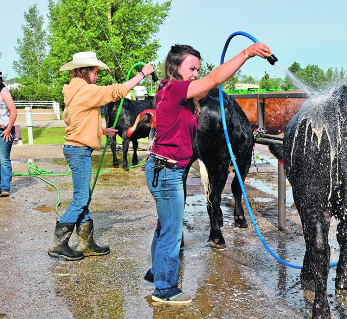 Bath time - photo essay | The Western Producer