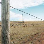 A windmill is seen in the distance through the strands of a barbed-wire fence surrounding a brown, dry pasture.