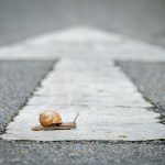 A snail on a white roadway arrow.