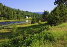 A lush, green valley with a small stream running through it. A barn is visible in the distance on the opposite side of the stream.