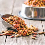Dry pet food in a scoop spills onto a weathered, wooden floor with a dog bowl full of the same dried food blurred in the background.