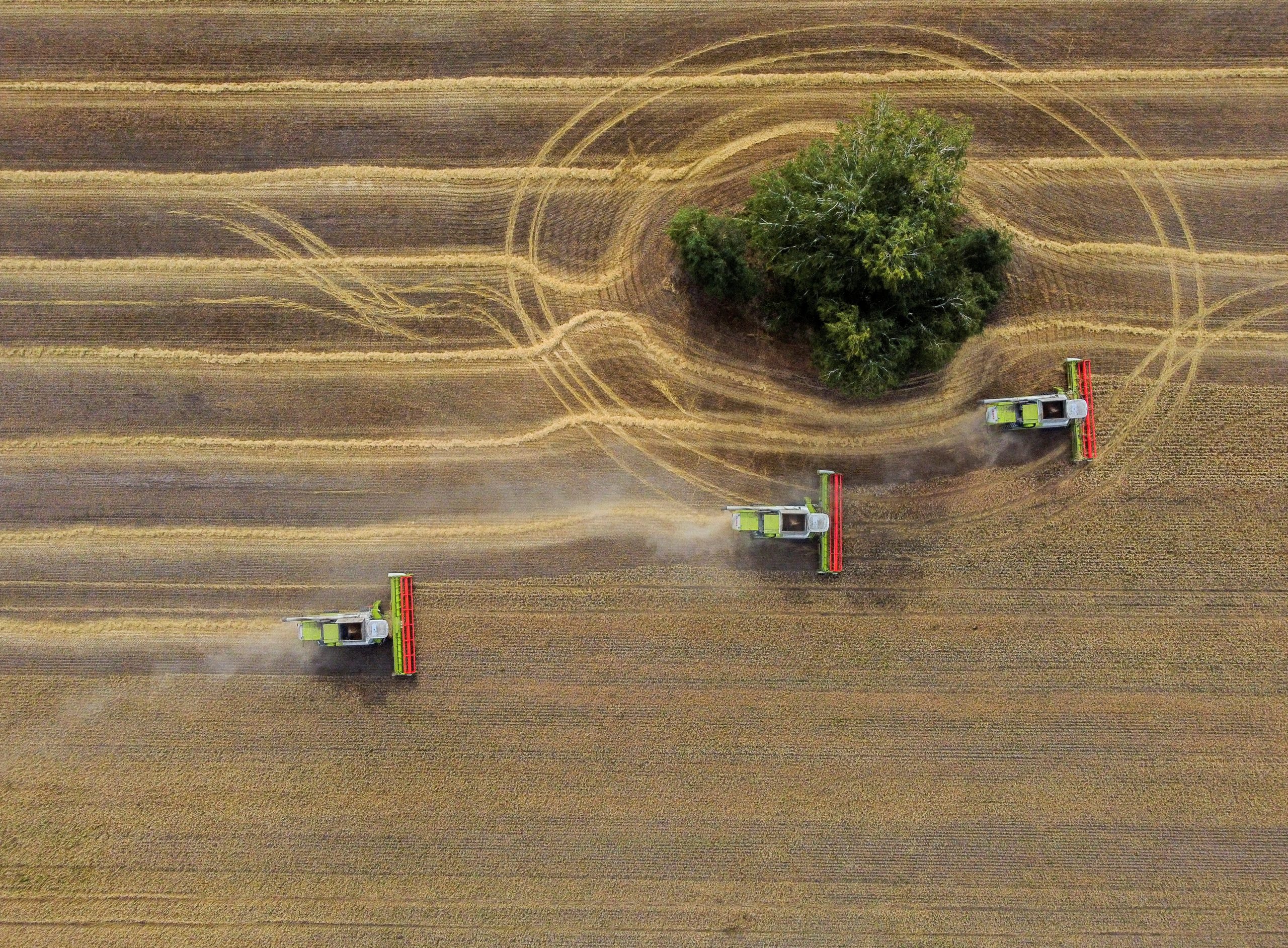 The U.S. Department of Agriculture pegs Russia’s 2023-24 wheat production at 85 million tonnes, which is in line with the European Crop Monitor’s forecast of 86.7 million tonnes. However, Russia’s agriculture ministry is forecasting a much smaller crop of 78 million tonnes. | Reuters/ Alexey Malgavko photo