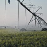 Expanded long-term pumping capacity is a priority, but in the short term the Water Security Agency is working to meet current demand for Saskatchewan irrigators. | File photo