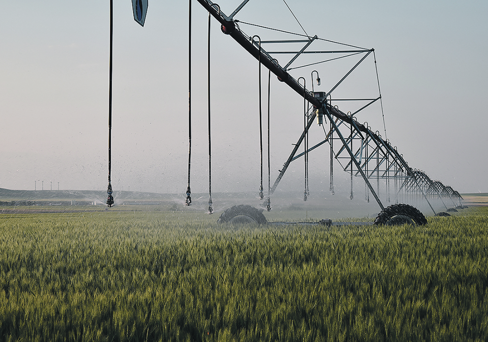 Expanded long-term pumping capacity is a priority, but in the short term the Water Security Agency is working to meet current demand for Saskatchewan irrigators. | File photo