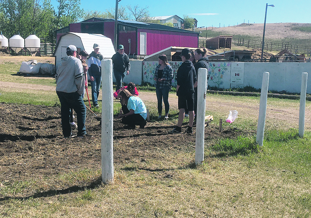 Students make plans at the school farm, which is part of the agricultural focus at the Altario Agriculture Academy in Altario, Alta.