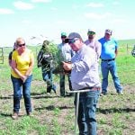 University of Saskatchewan soil nutrient expert Jeff Schoenau speaks about the value of the extensive root systems of perennial grasses during a June 20 field day at the Livestock and Forage Centre of Excellence.