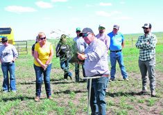 University of Saskatchewan soil nutrient expert Jeff Schoenau speaks about the value of the extensive root systems of perennial grasses during a June 20 field day at the Livestock and Forage Centre of Excellence.