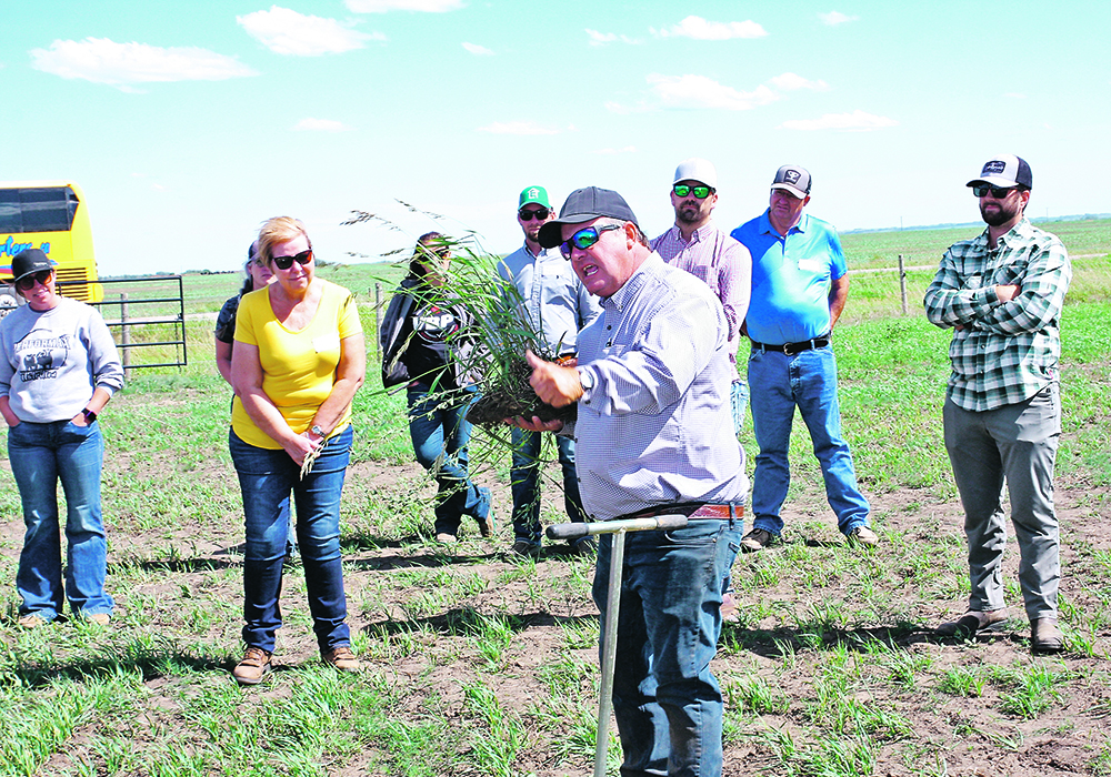 University of Saskatchewan soil nutrient expert Jeff Schoenau speaks about the value of the extensive root systems of perennial grasses during a June 20 field day at the Livestock and Forage Centre of Excellence.