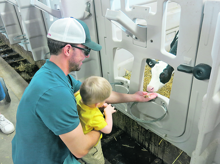A dad holds his infant son as they offer some food to a dairy cow through a gate.