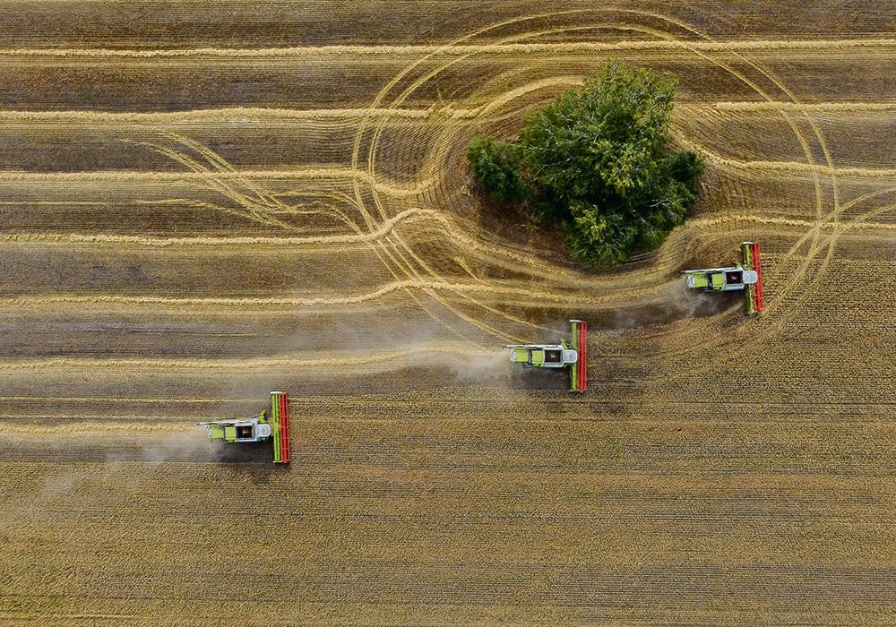 The U.S. Department of Agriculture pegs Russia’s 2023-24 wheat production at 85 million tonnes, which is in line with the European Crop Monitor’s forecast of 86.7 million tonnes. However, Russia’s agriculture ministry is forecasting a much smaller crop of 78 million tonnes.  |  Reuters/ Alexey Malgavko photo