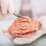 Photo illustration showing meat in a petrie dish.