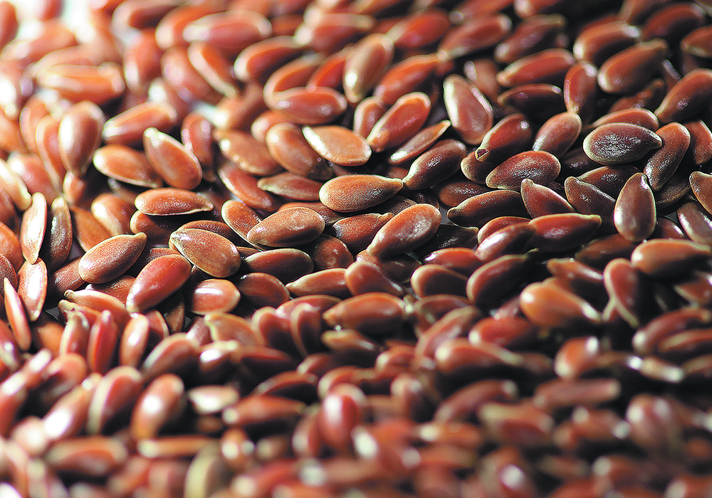 Close-up of flax seeds spread on a table.
