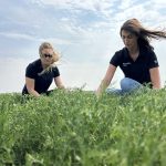 I visited the BASF research farm at Vanscoy, east of Saskatoon, to learn about RevyPro, a new fungicide for pulse crop producers that relies on a radical new combination of two Group 3 products to spread out the use of the Group 11 products that are beginning to lose their effect against resistant diseases. | Ed White photo