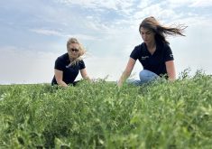 I visited the BASF research farm at Vanscoy, east of Saskatoon, to learn about RevyPro, a new fungicide for pulse crop producers that relies on a radical new combination of two Group 3 products to spread out the use of the Group 11 products that are beginning to lose their effect against resistant diseases. | Ed White photo