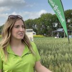 Carmen Prang talks about the history of wheat variety development.
