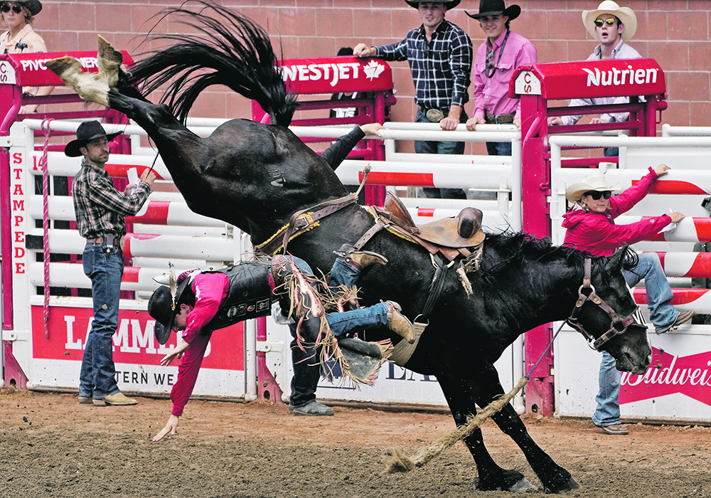 Kolby Wanchuk of Sherwood Park, Alta., is bucked off Killing Time in the saddle bronc event. | Reuters/Todd Korol photo