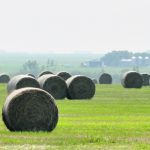 Alberta agriculture minister RJ Sigurdson says the government will track not only feed availability in the province in the coming weeks but also the cost. | Jeannette Greaves photo