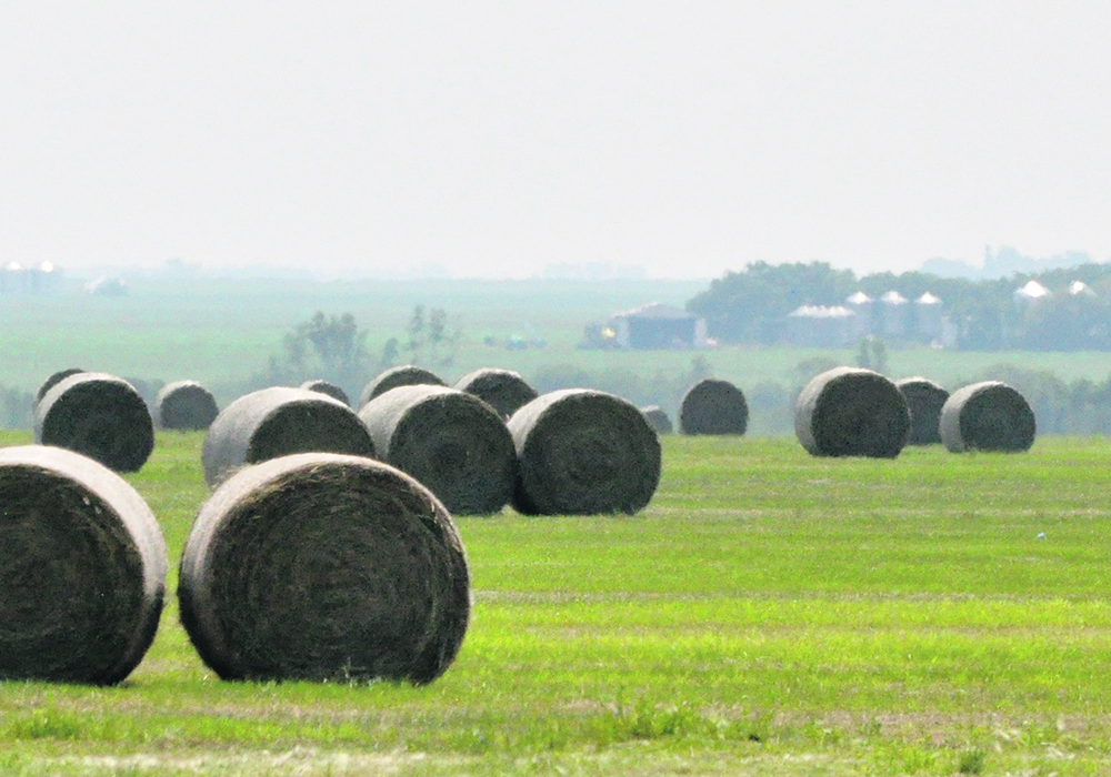 Alberta agriculture minister RJ Sigurdson says the government will track not only feed availability in the province in the coming weeks but also the cost.  |  Jeannette Greaves photo
