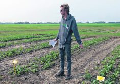 Carlo Van Herk, research technician at Farming Smarter, describes the organization’s strip-till canola research at a field school event near Lethbridge, Alta.  |  Doug Ferguson photo
