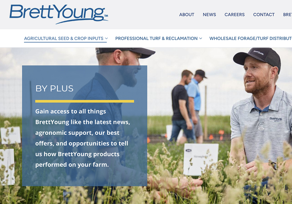 A screencap of the BrettYoung website.