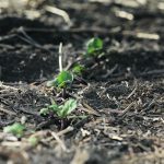 This new committee, announced Wednesday, will work to ensure the care and protection of Canada's agricultural soil through education, knowledge transfer, forums for collaboration and other activities. | File photo