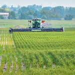 Cody Longson cuts a wheat crop on Monteith Farms near High River, Alta., July 12. Like so many other southern Alberta crops, it was beaten by the heat this year. Longson and two other ranchers will use the baled wheat to feed their cattle. | Mike Sturk photo