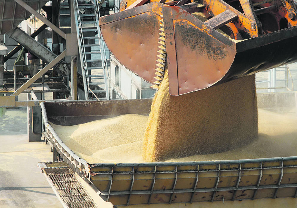 China imposed combined duties of 80.5 percent on Australian barley in 2020, prompting Australia to launch a formal appeal to the World Trade Organization. Australia temporarily suspended its WTO case this spring when China agreed to hasten its review on tarrifs.  |  Reuters photo