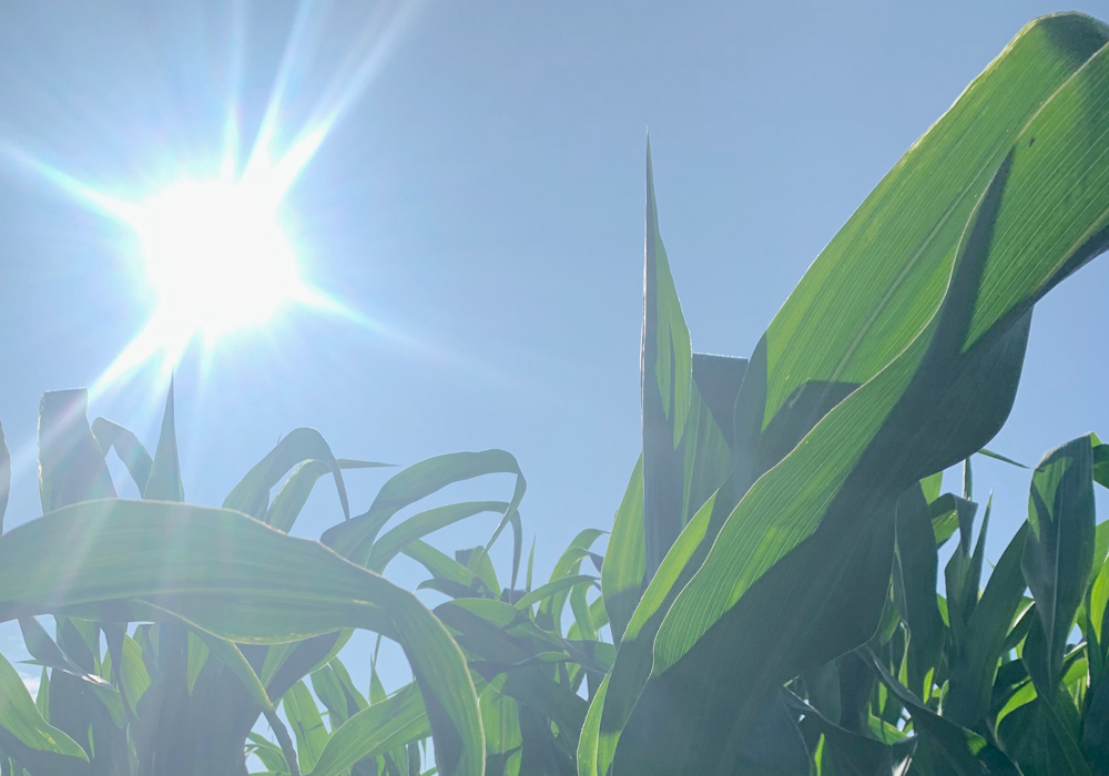 Polls consistently indicate that 75 percent of all Americans believe climate change is real while only 10 percent claim it isn’t. Even the most rock-headed, anti-climate-change politician can noodle out that voter math. | File photo