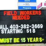 A billboard in Vauxhall, Alta., is one of many in southern Alberta advertising agricultural sector jobs. | Alex McCuaig photo