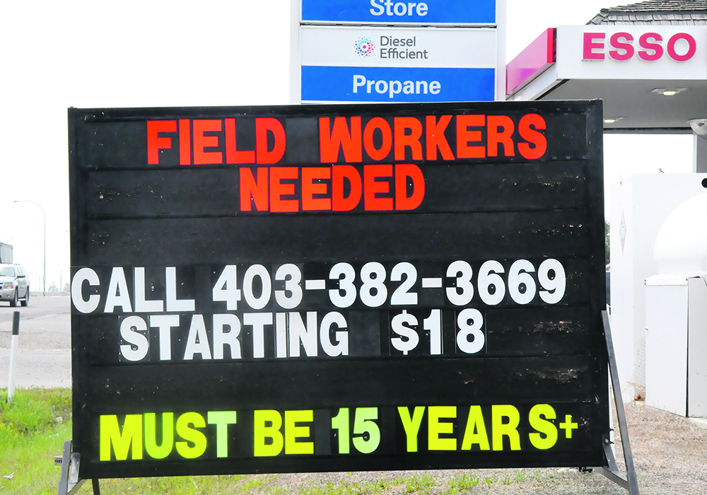 A billboard in Vauxhall, Alta., is one of many in southern Alberta advertising agricultural sector jobs.  |  Alex McCuaig photo