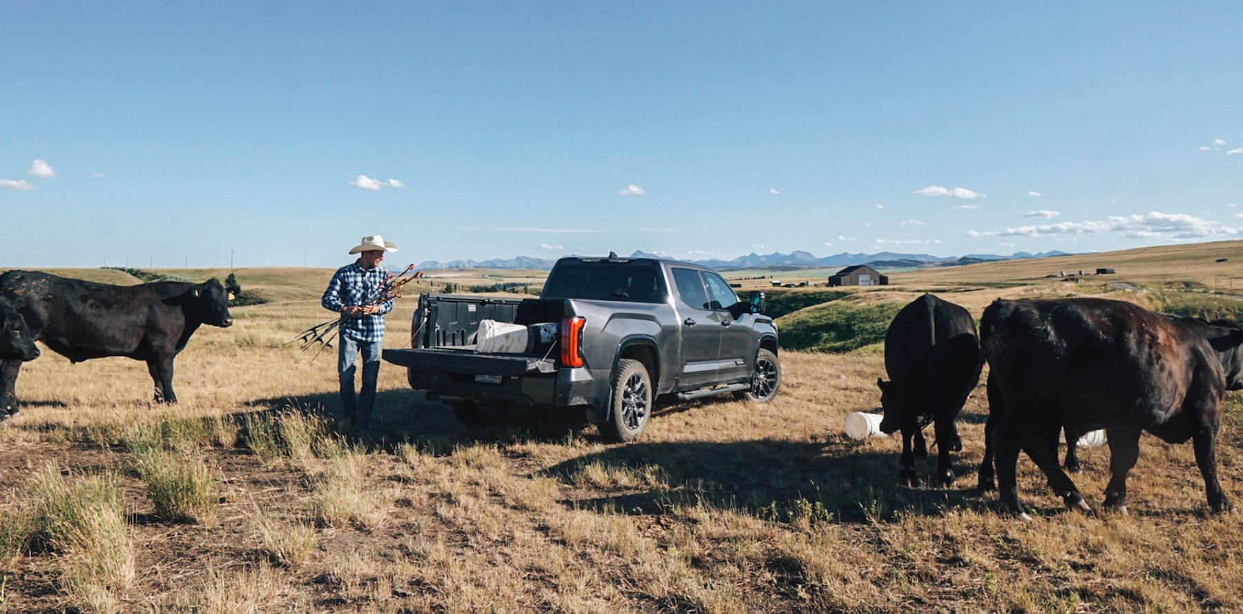 Trent Lewis says that unlike trucks they’ve owned in the past, their Toyota Tundra can handle anything they can throw at it at One Mile Ranch as well as offering a refined family ride for trips to the city.