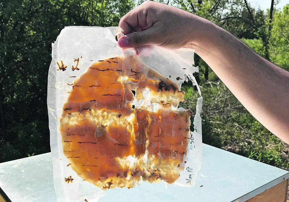 a backlit plastic back of an amber coloured substance being held up by a hand