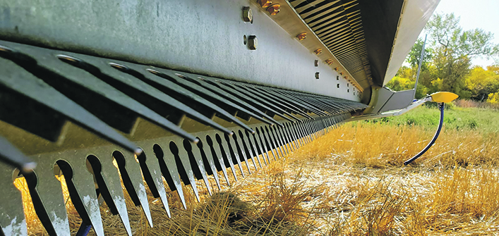 Stripper headers are one part of the solution to scarce moisture but they have limitations in both crops and terrain.