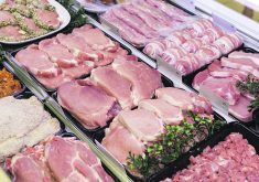 A meat counter in a butcher shop.