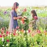 Kristen Primrose and daughter Shiloh spend time together in the flower patch. | Kinsey Holt Photography photo