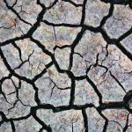 Dry, cracked soil.