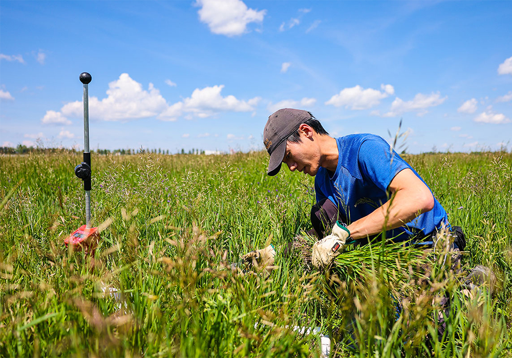 Agtech Accelerator's collaboration with Olds College is expected to boost innovation in agriculture, smart agriculture services, products, applied research initiatives, training and demonstrations. | Olds College photo