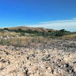 The bed of Bullshead Creek, which flows from the base of the Cypress Hills to the South Saskatchewan River, has run dry following persistent lack of precipitation this year. | Alex McCuaig photo