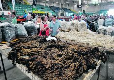 Fleece and wool were on display at the Prairie Fibreshed Network’s booth during the recent All-Canada Classic and Grasslands Sheep Exhibition in Humboldt, Sask.  |  Brooke Aitkins photo