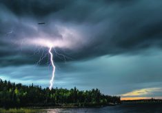 Lightning strikes over Saskatchewan’s Tyrrell Lake as a raven flies above.