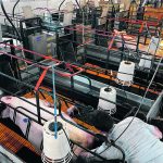 The National Pork Producers Council supports the Ending Agricultural Trade Suppression Act, which would overturn California’s farm animal law, but some of the country’s biggest hog-production companies say they intend to comply with the state law. | Reuters/ Nick Carey photo