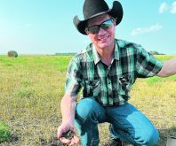 Steve Kenyon had a close look at the soil at Steven Balzer’s pasture near Langham, Sask.  |  Laura Rance photo